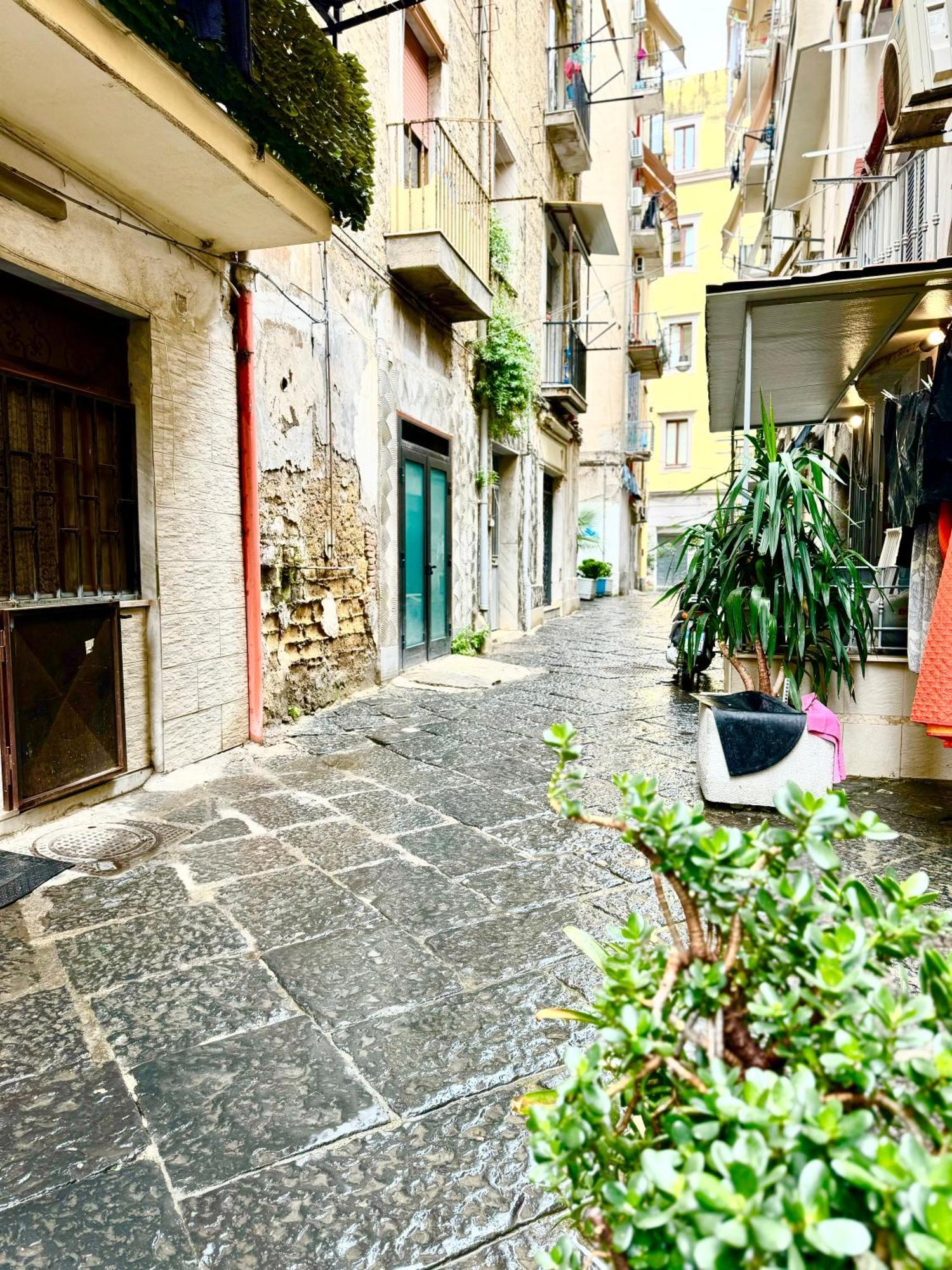 Vesuvius House Apartman Nápoly Kültér fotó